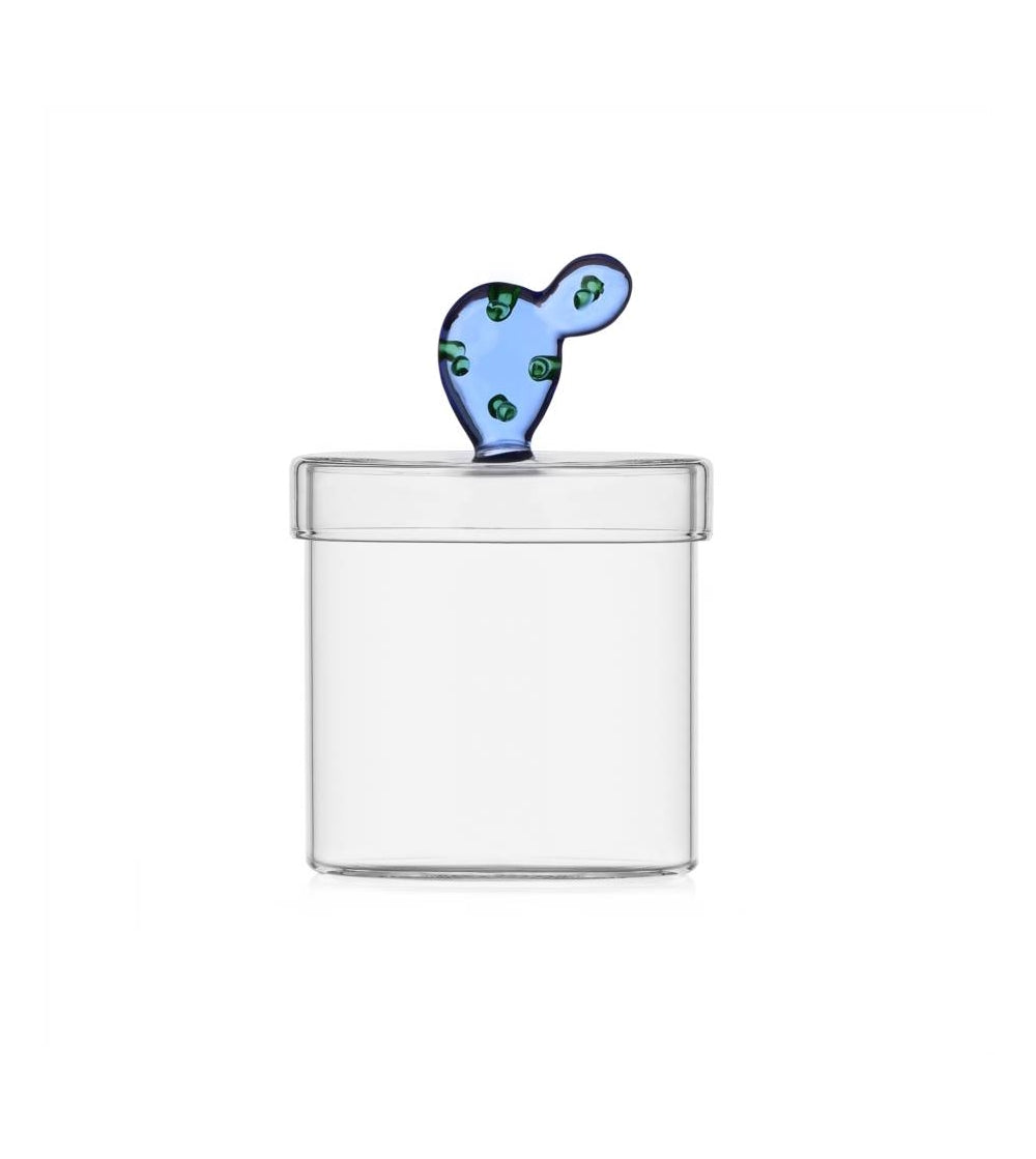 Boite / Bocal cactus (3 modèles)