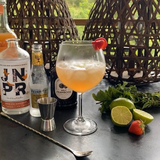 RECETTE : Mocktail JNPR