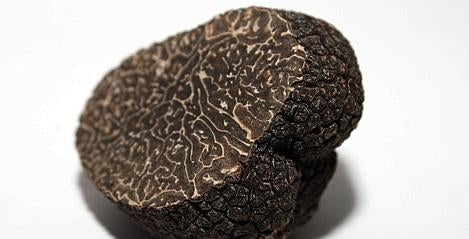 Les truffes fraiches arrivent jeudi 20 en magasin