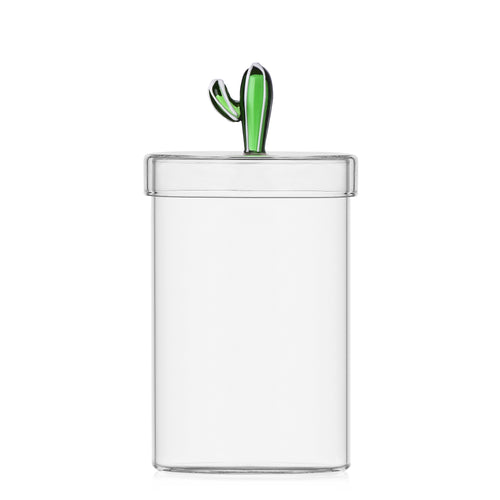 Boites cactus (2 modèles)