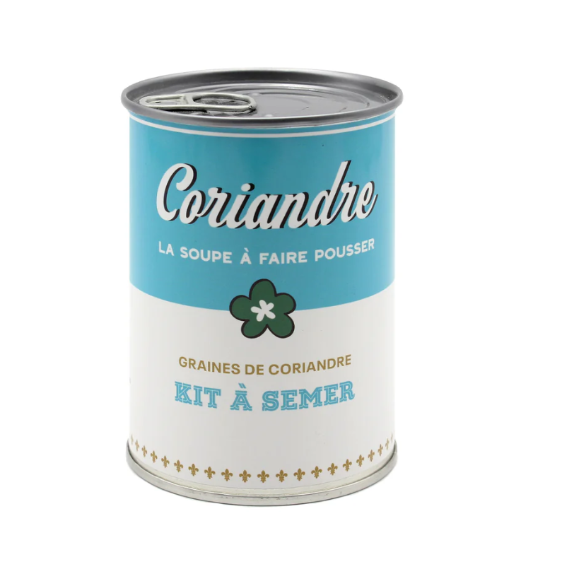 Kit à semer – Coriandre - L'essentiel