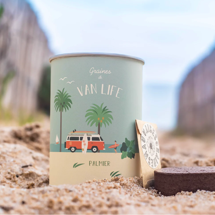 Kit à semer – « Van Life » – Graines de palmiers - L'essentiel